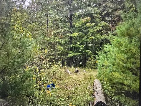 Two Acre Wooded Lot