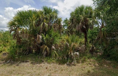 Land, PORT CHARLOTTE, FL
