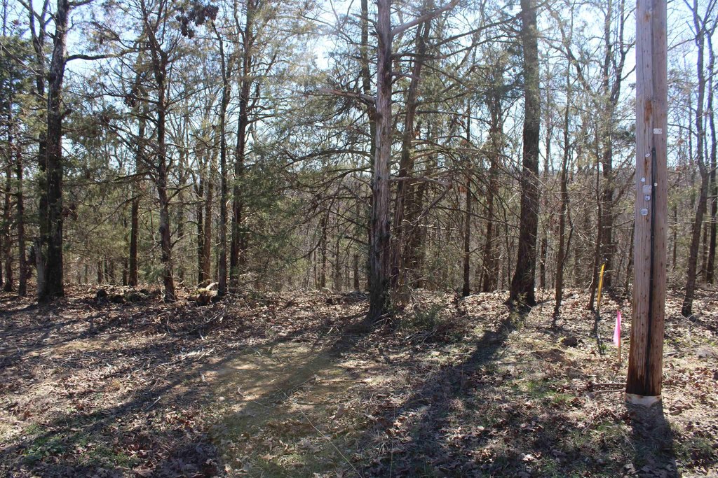 Picture 2