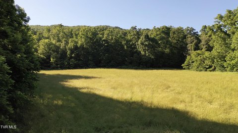 Rural Acreage with Road Frontage