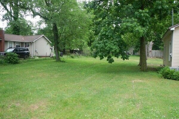 Picture 6
