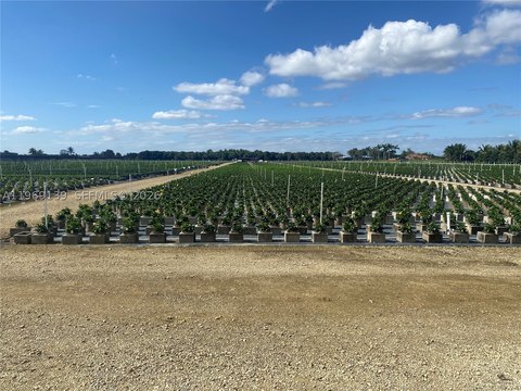 Agricultural Land and Plant Nursery