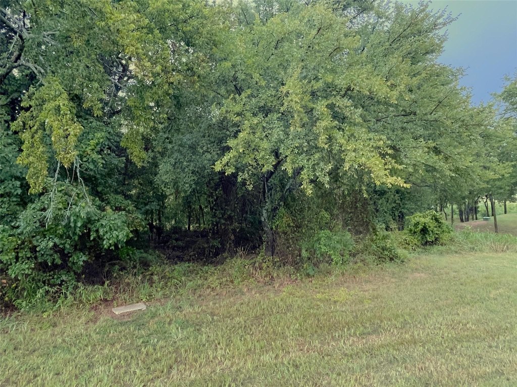 Picture 2