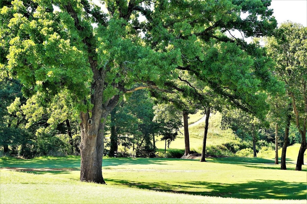 Picture 8