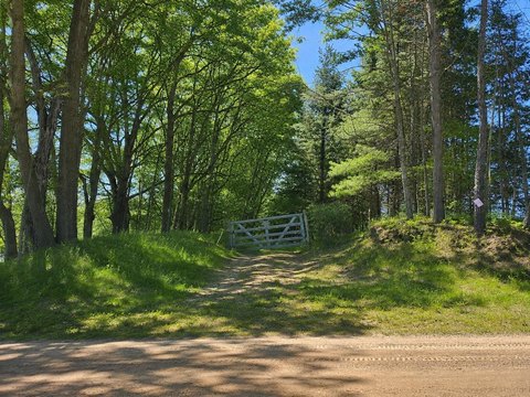 VACANT LAND, Fenwick, MI