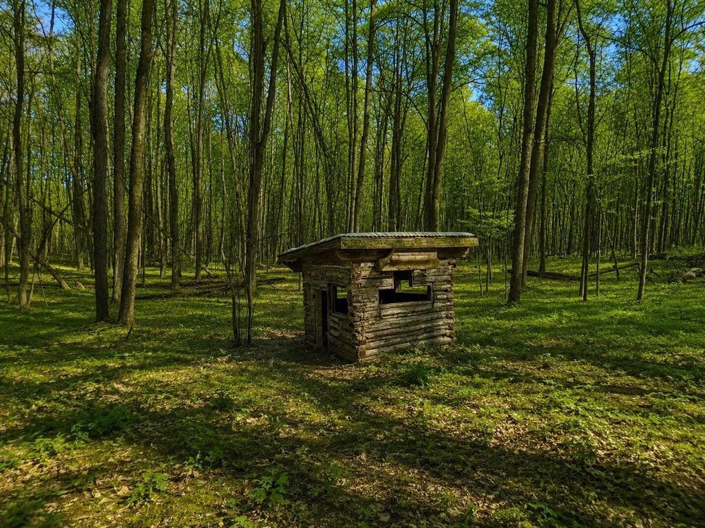 Picture 8