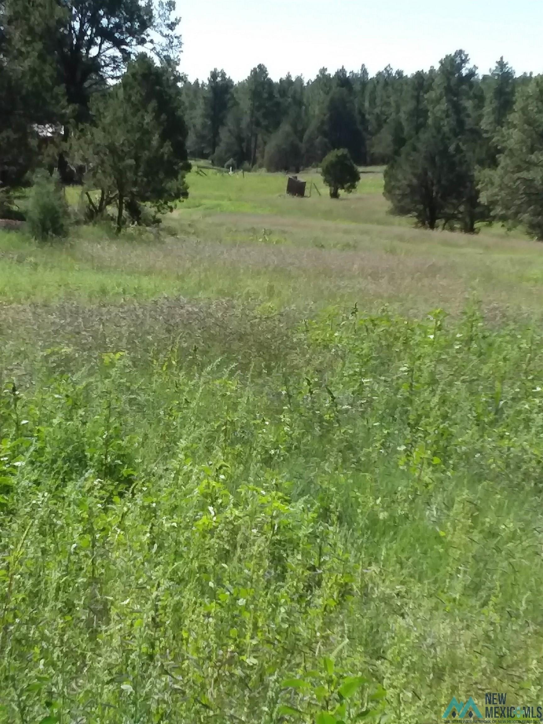 Remote Land in Pecos, NM