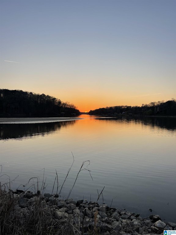 Picture 7