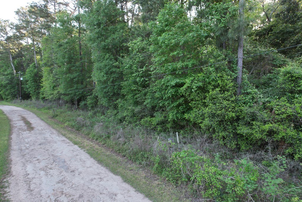 Picture 6