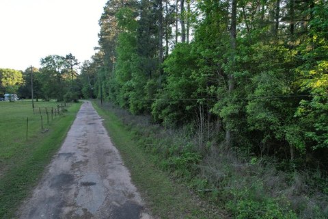27 Acres Wooded Land, Thicket