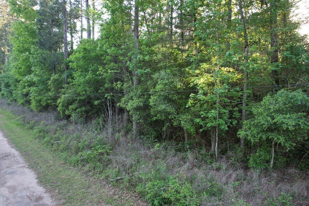 Picture 7