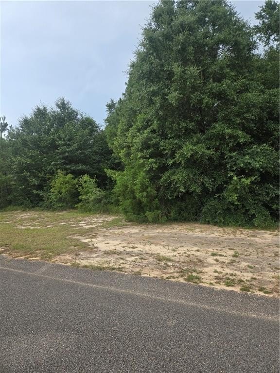 Picture 2