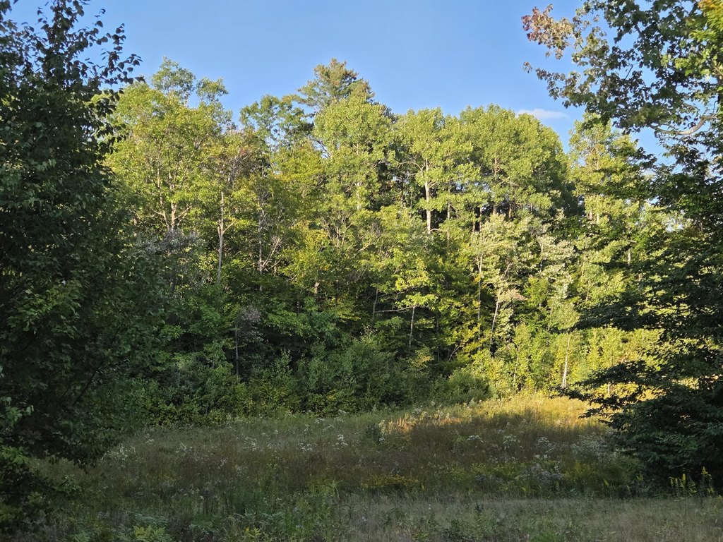 Picture 6