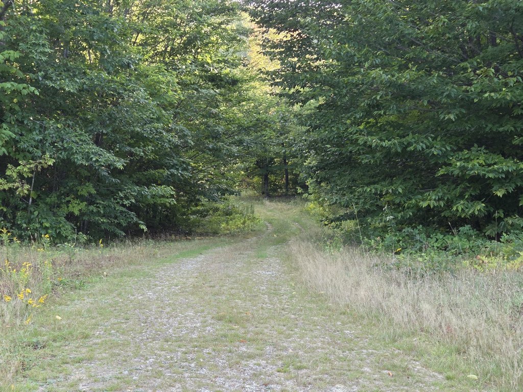 Picture 3