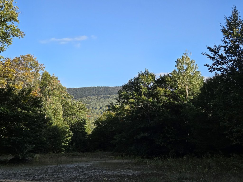 Picture 7