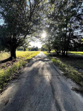 LOTS AND ACREAGE, West Columbia, SC