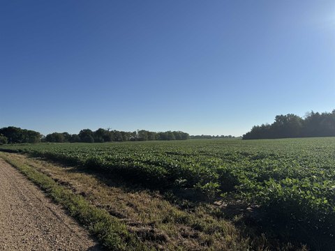 Building Site/Land, Vermillion, SD