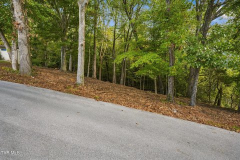 Land, Church Hill, TN