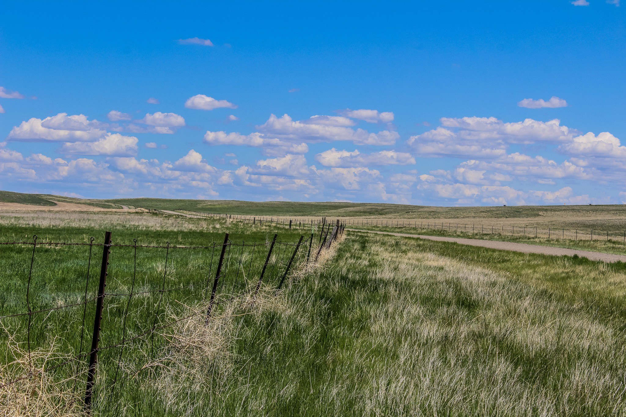 40 Acres in Cascade, MT