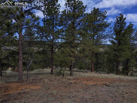 Colorado Mountain Estates Land