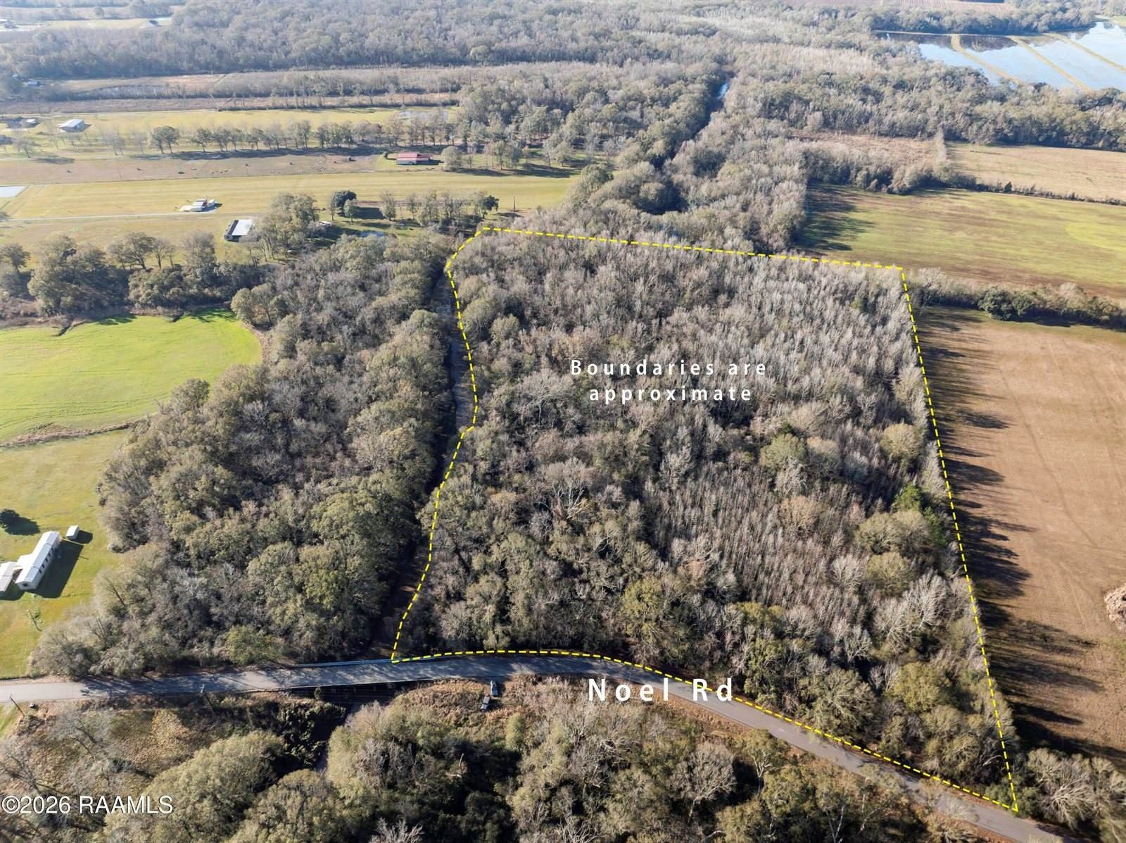 Nearly 12-Acre Wooded Property