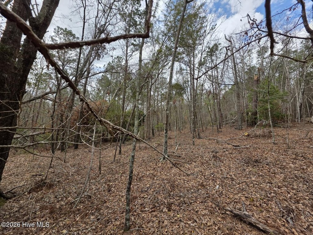 Picture 25