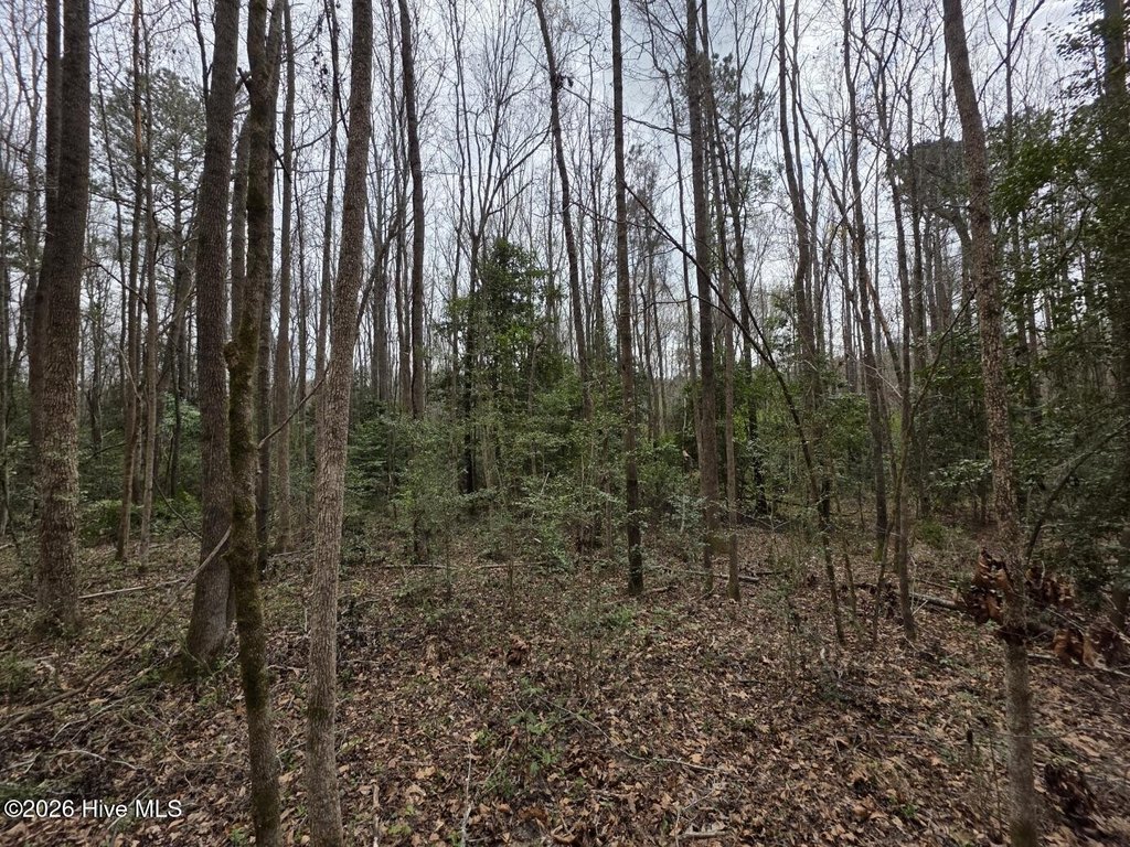 Picture 24
