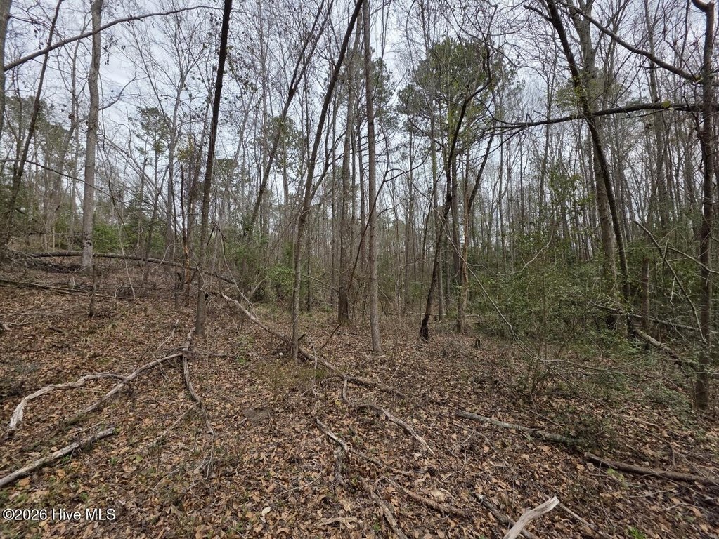 Picture 29