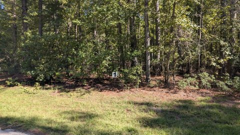 Land, Summerton, SC