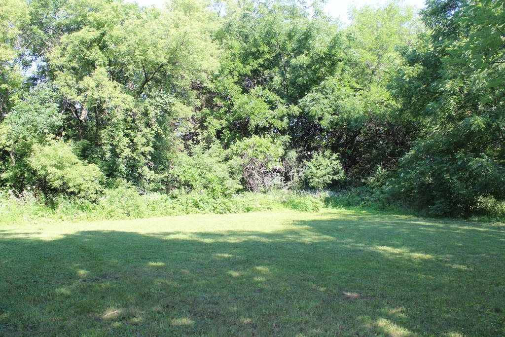 Picture 10