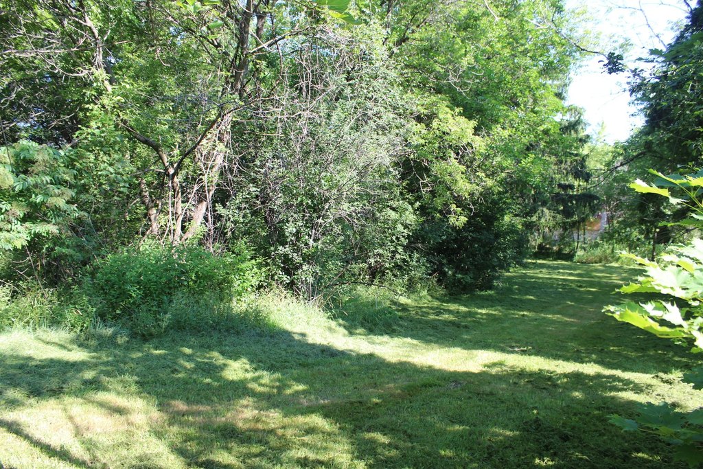 Picture 8