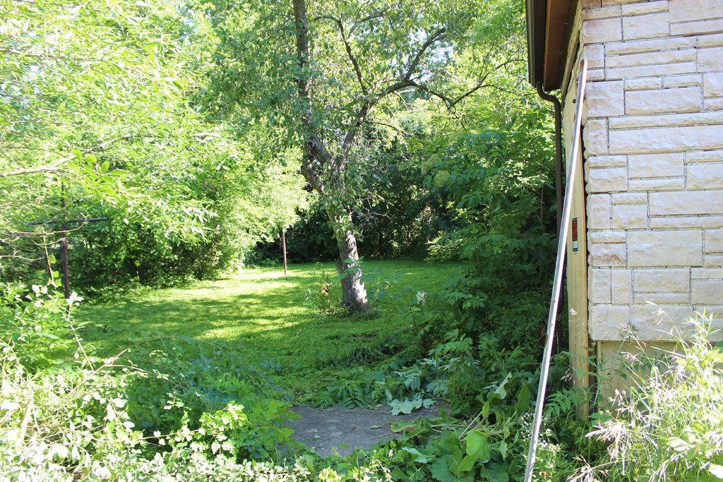 Picture 16