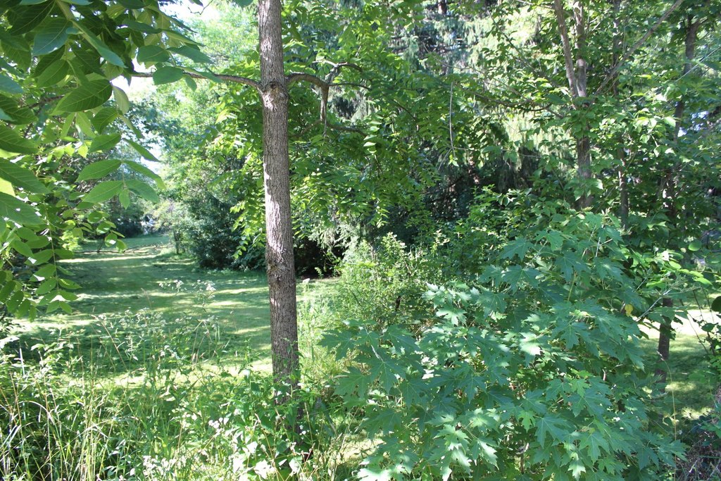 Picture 14