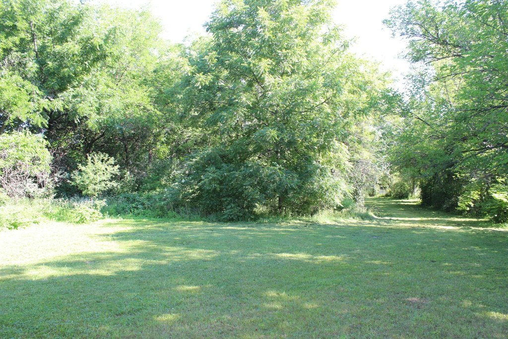 Picture 11