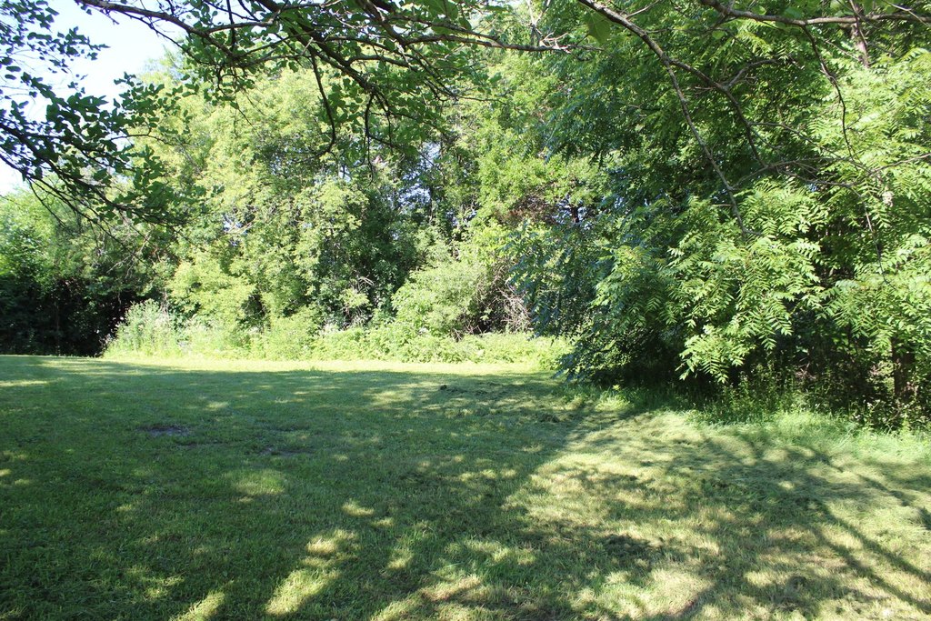 Picture 7