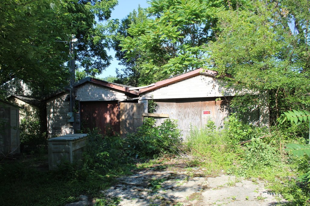 Picture 15