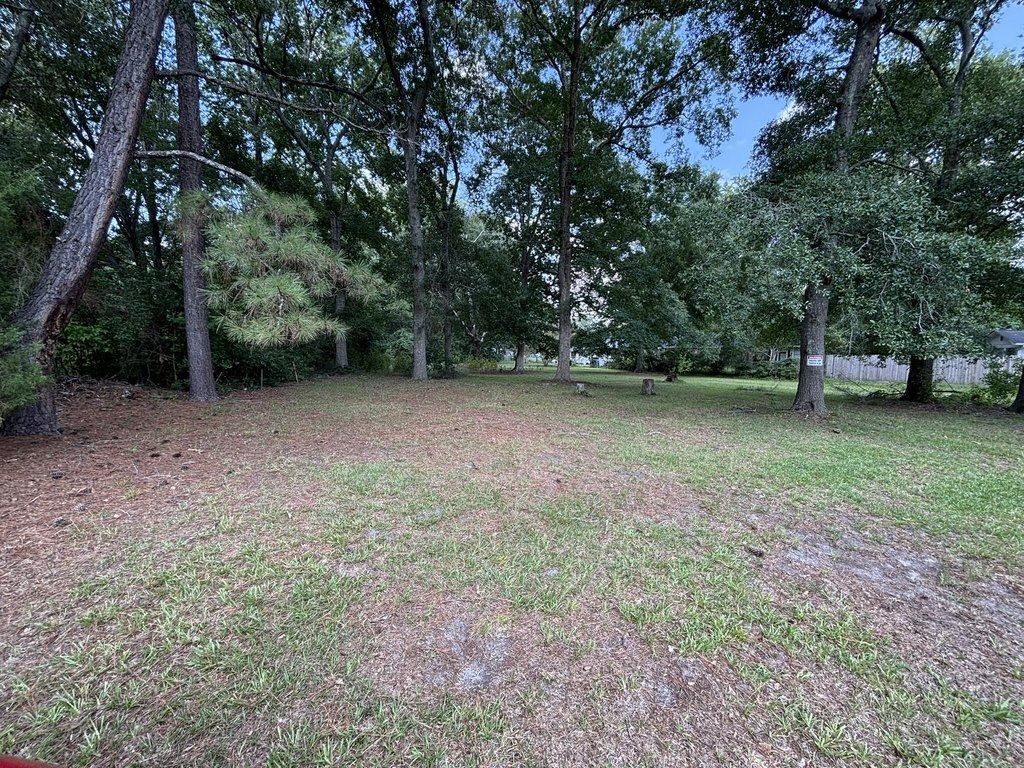 Picture 2