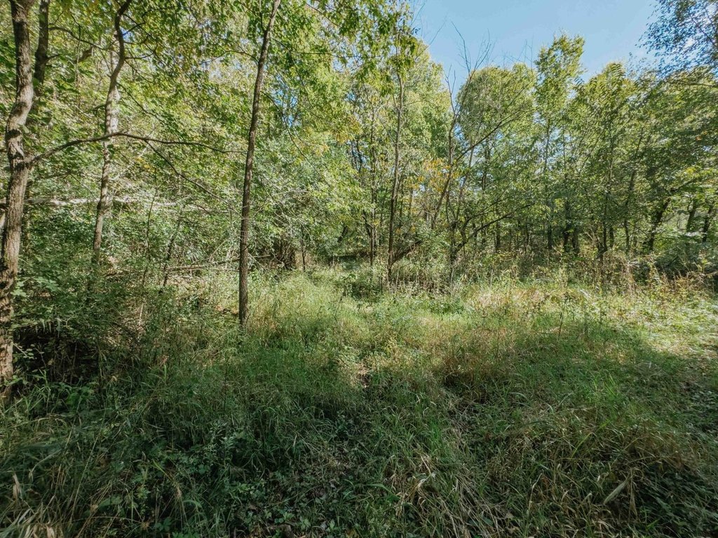 Picture 20