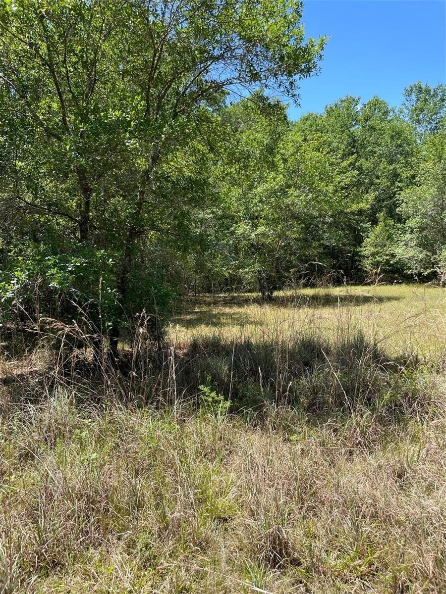 Inverness Land Near Withlacoochee River