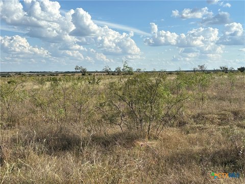 Five Acre Tract in Lampasas