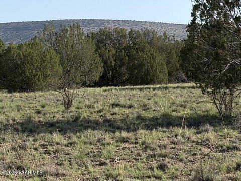 LAND - Seligman, AZ