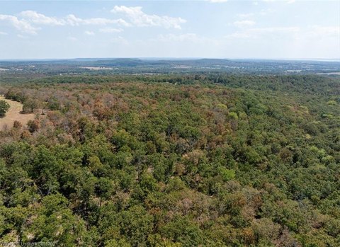 Wooded Hunting Land