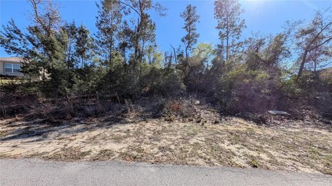 Vacant Land in Spring Hill