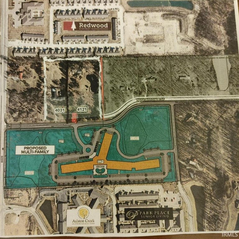 Picture 4