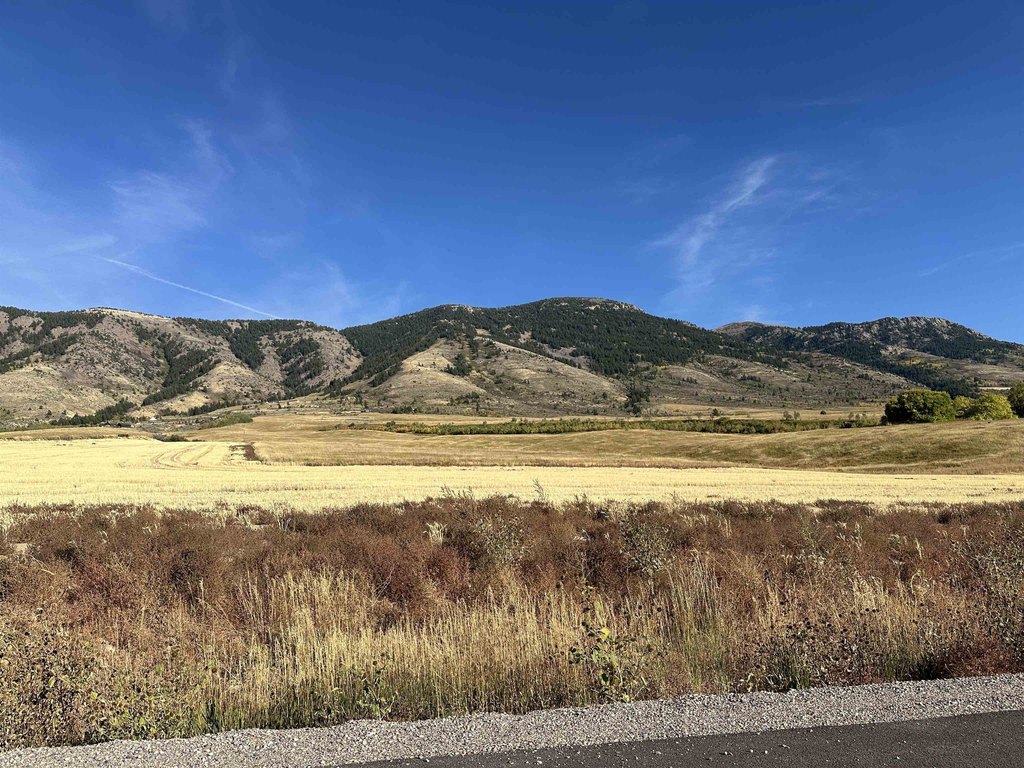 Picture 8