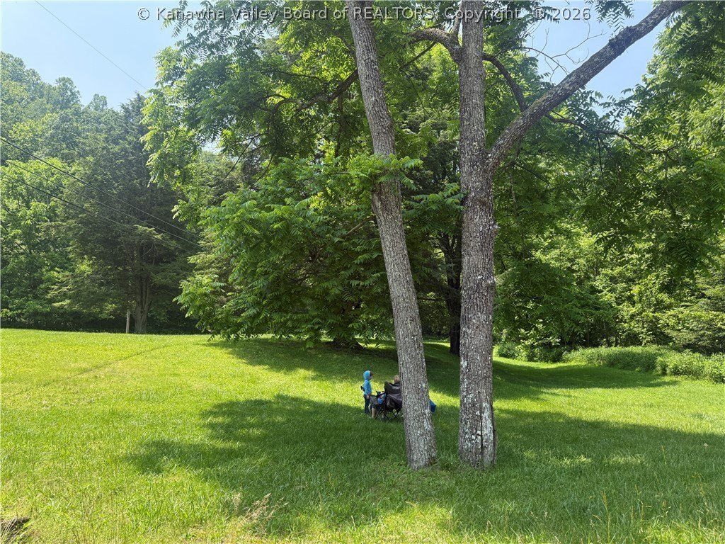 Picture 25