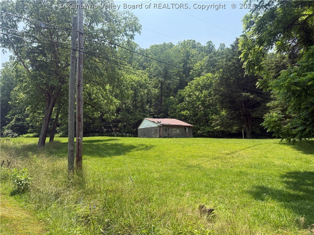Picture 21