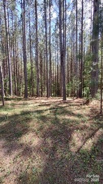 LAND - Mooresboro, NC