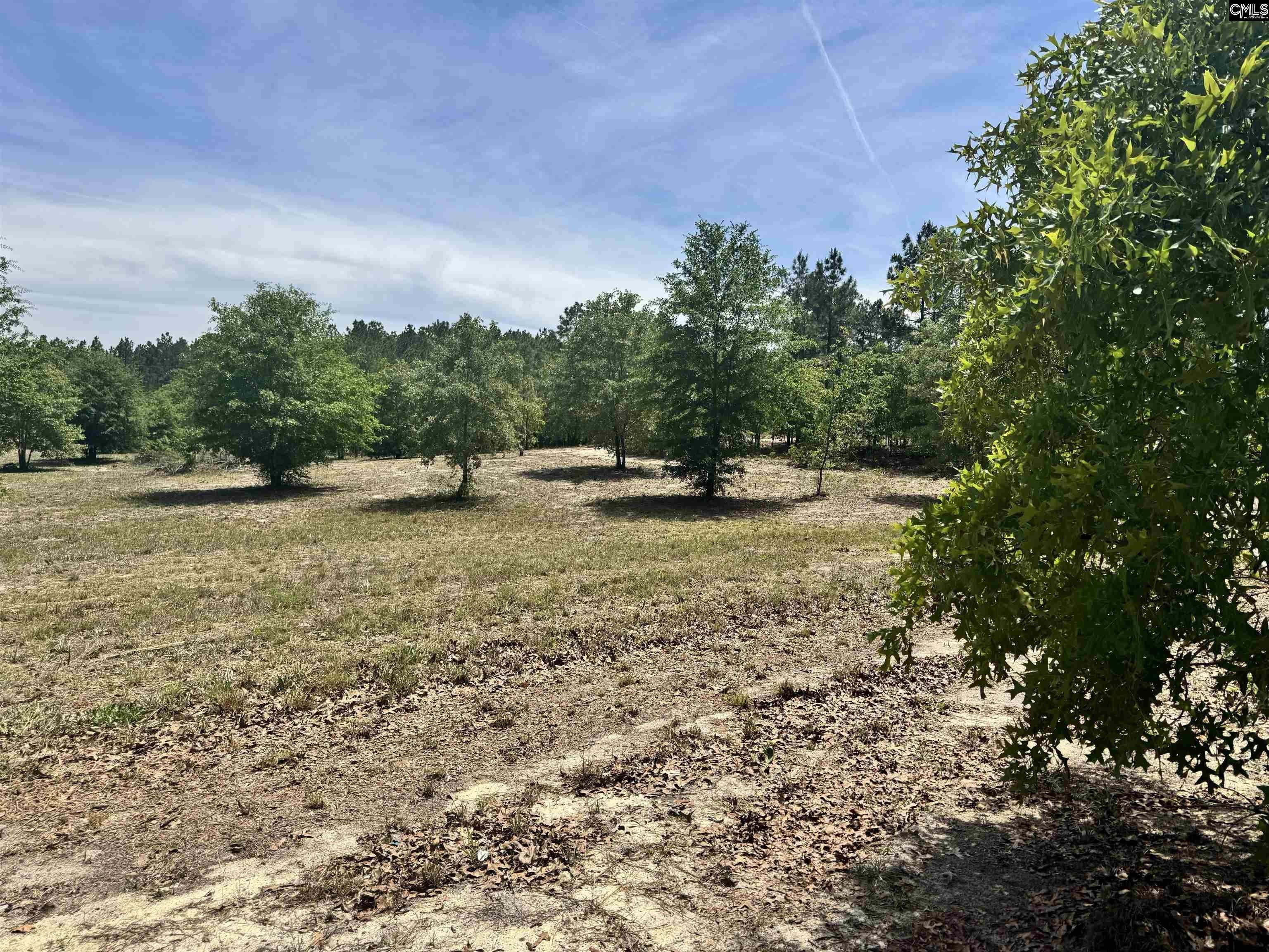 Residential Lot in Cassatt, SC