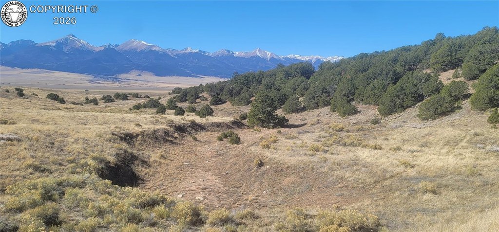 Picture 20